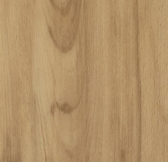 Кварцвиниловые полы Forbo Allura Click 60026CL5 classic beech фото 1 | FLOORDEALER